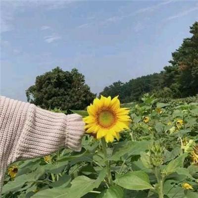 战神传奇手游官方下载